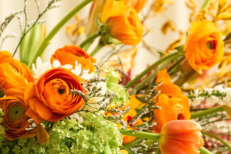 pp_gallerypage_IMG_5994.jpg