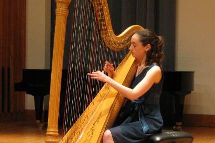 Silver Wings Music - Harpist and Flutist