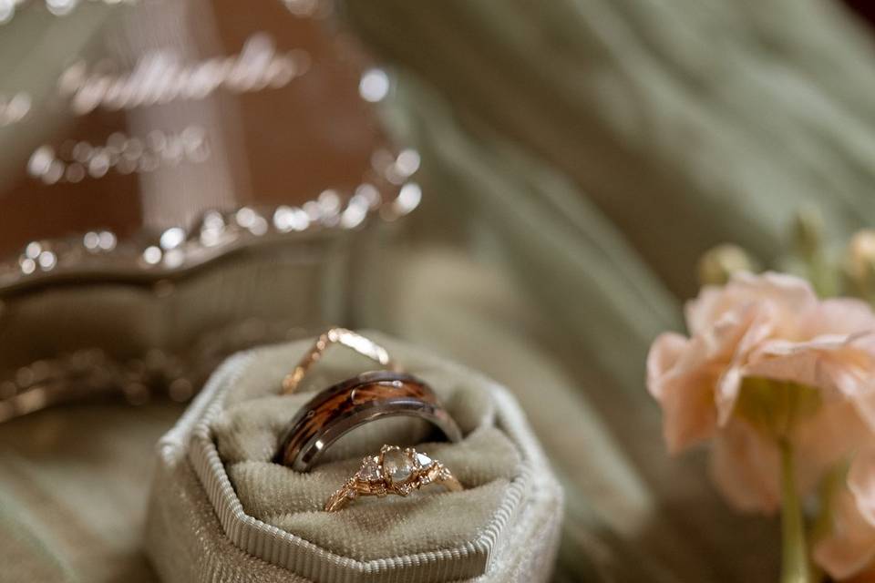 Nat Erlin Photography