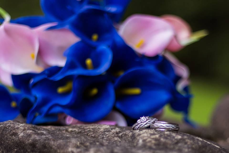 Heather Hoskinson Photography
