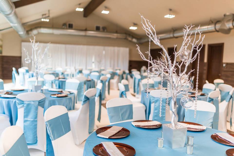 White and blue table design