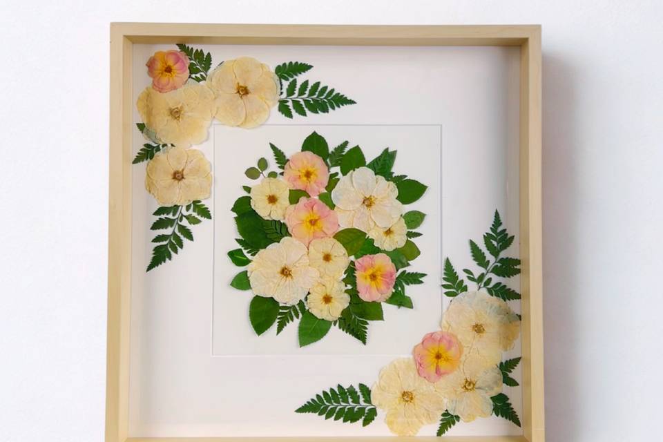20x20 birch