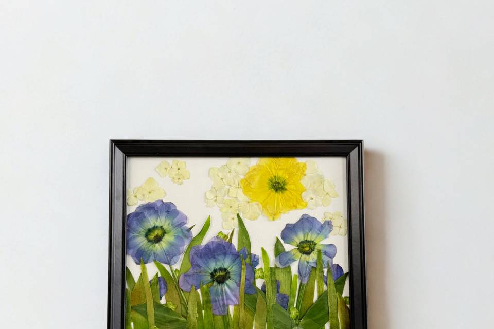 8x10 classic black