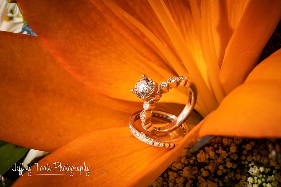 Details, ring, Lake Ontario