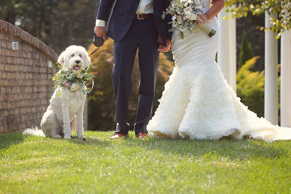 The newlyweds with their dog