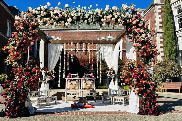 Shaan Décor