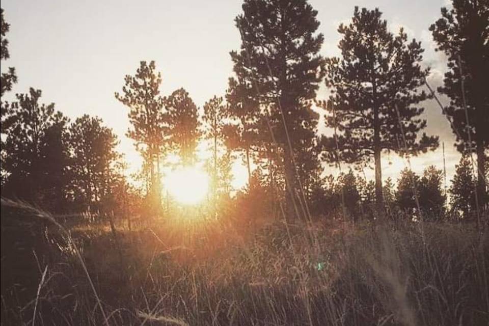 Black Hills