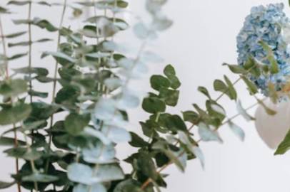 Simple Center Pieces
