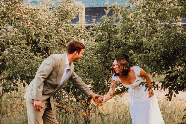 Apple Trees