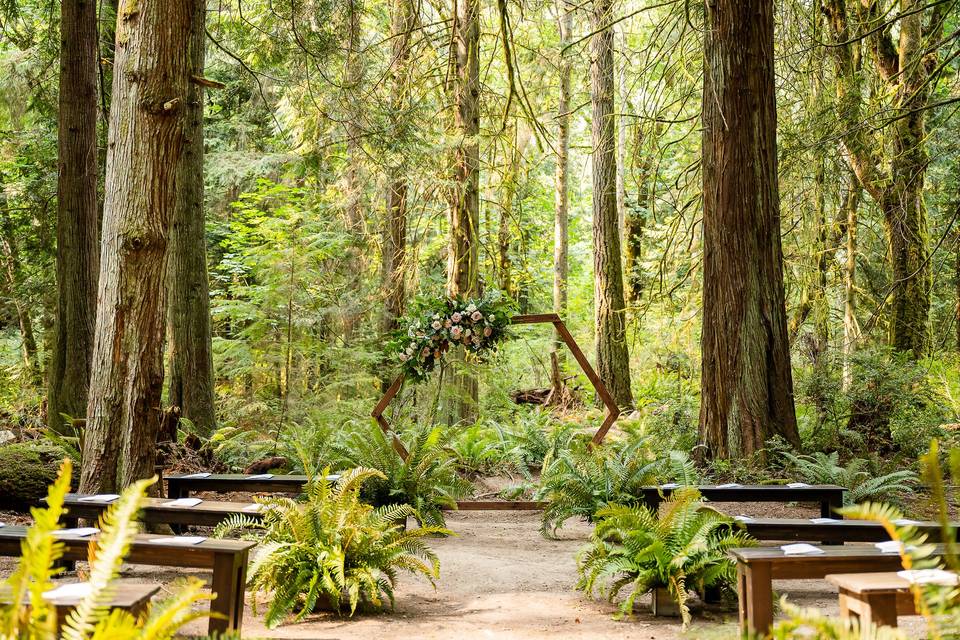 Woodland Wedding