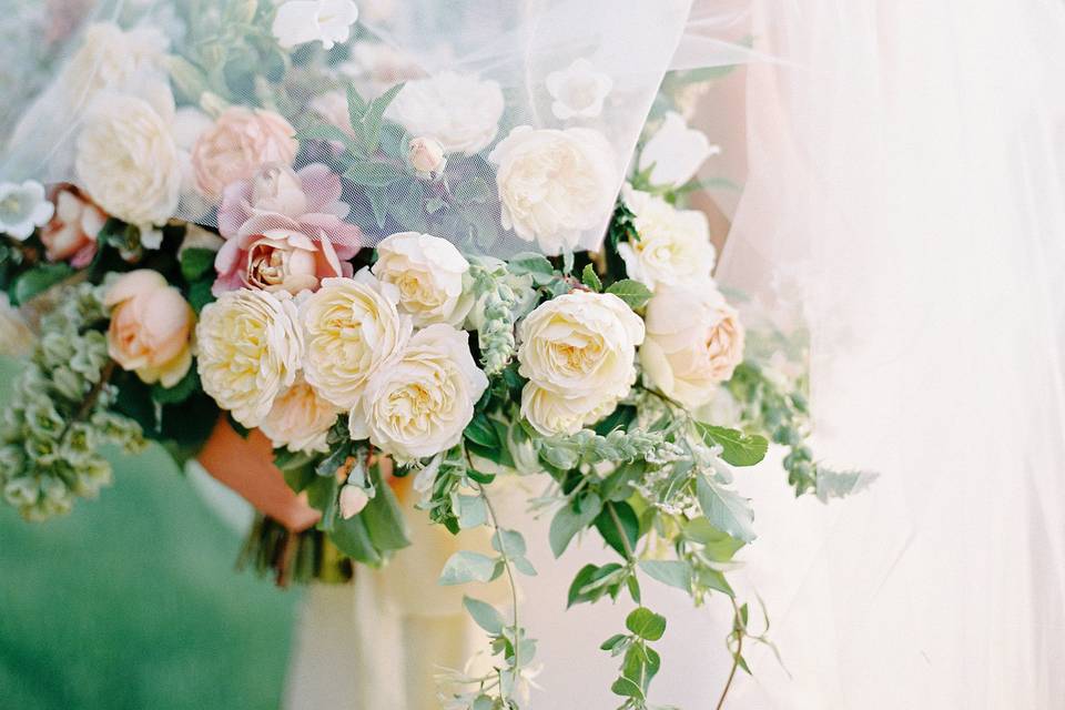Spring wild flowers and garden roses. Photo: Shannon Elizabeth