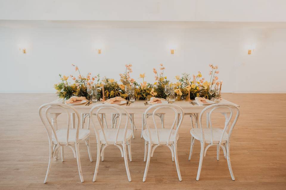 Whitewash bentwood chairs