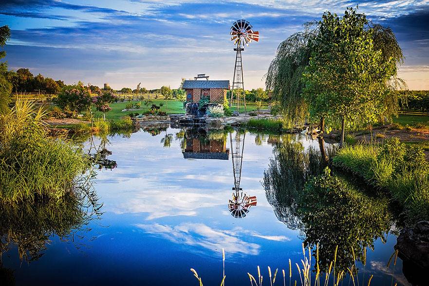 Clear reflections on the pond