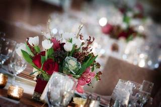 Cangiano Events