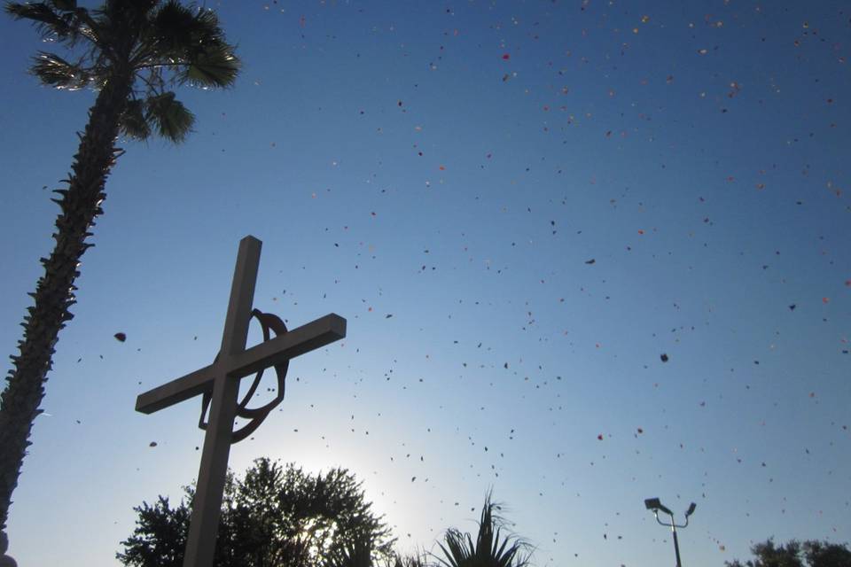 Helicopter pilot casts a shower of thousands of rose petals.