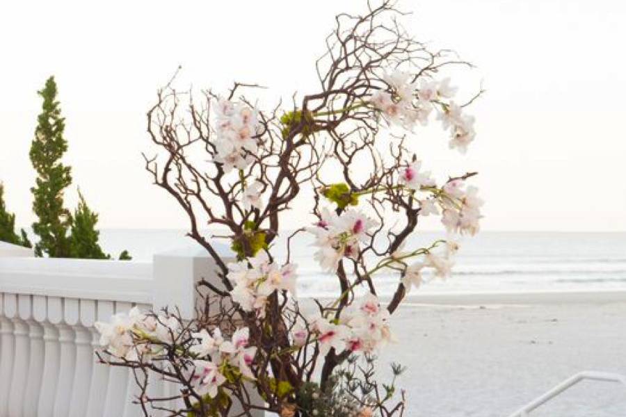 Ocean front drift wood look orchid tree ceremony arrangement ponte vedra seahorse ceremony site