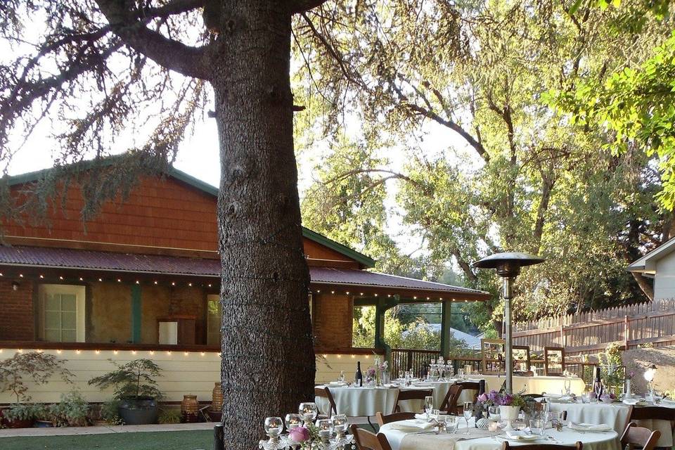 Reception table set-up