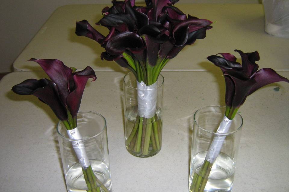 Seek and Find Flowers & Gifts, LTD