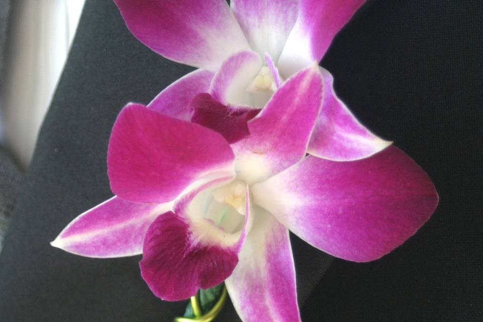 Seek and Find Flowers & Gifts, LTD