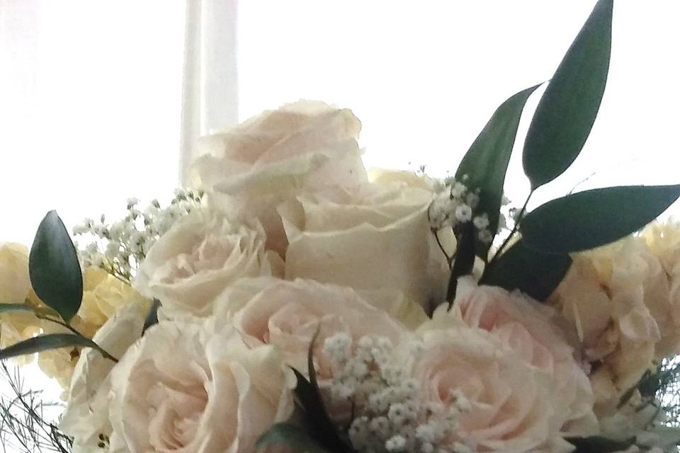 Seek and Find Flowers & Gifts, LTD