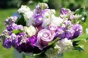 Seek and Find Flowers & Gifts, LTD