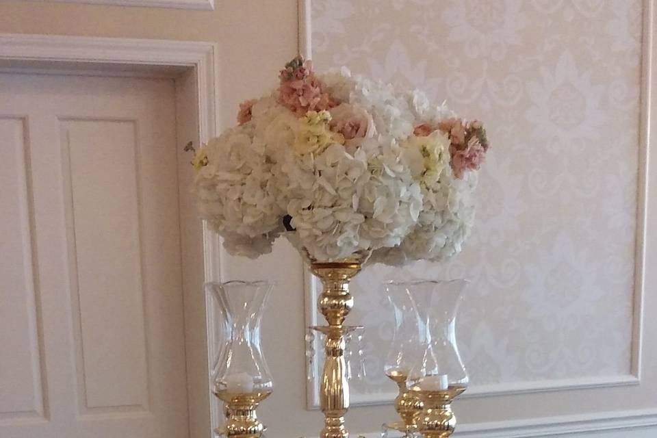 Seek and Find Flowers & Gifts, LTD