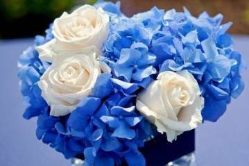 Seek and Find Flowers & Gifts, LTD