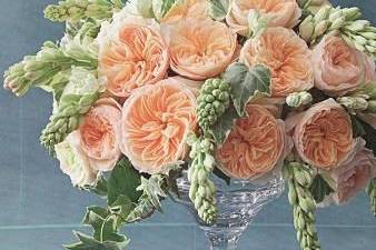 Seek and Find Flowers & Gifts, LTD