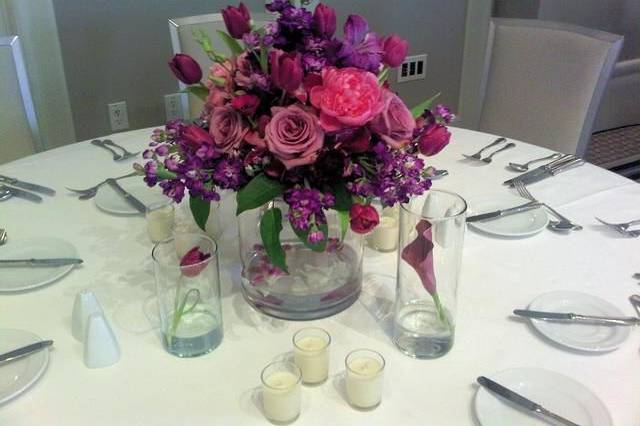 Seek and Find Flowers & Gifts, LTD