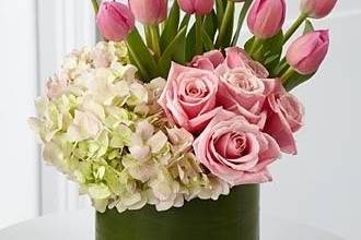 Seek and Find Flowers & Gifts, LTD