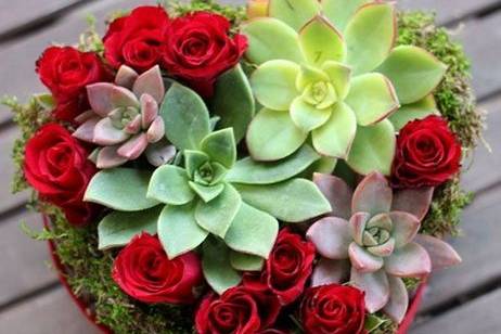 Seek and Find Flowers & Gifts, LTD