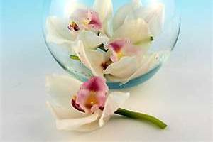 Seek and Find Flowers & Gifts, LTD