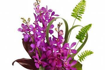 Seek and Find Flowers & Gifts, LTD