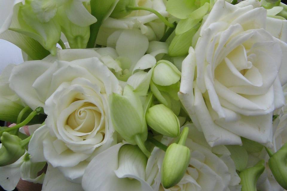 Seek and Find Flowers & Gifts, LTD