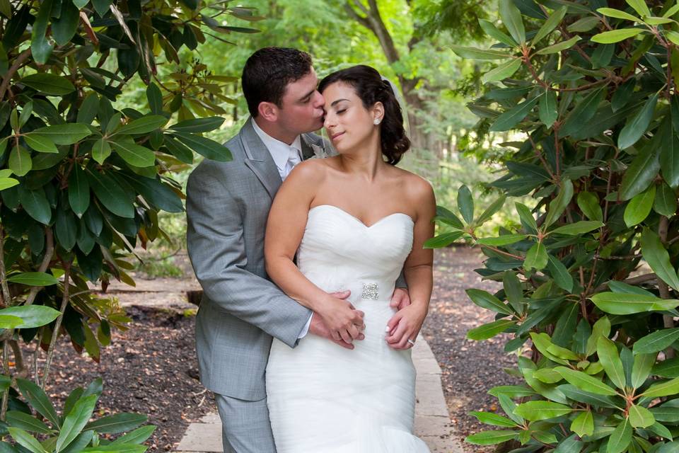 sue lynch photography