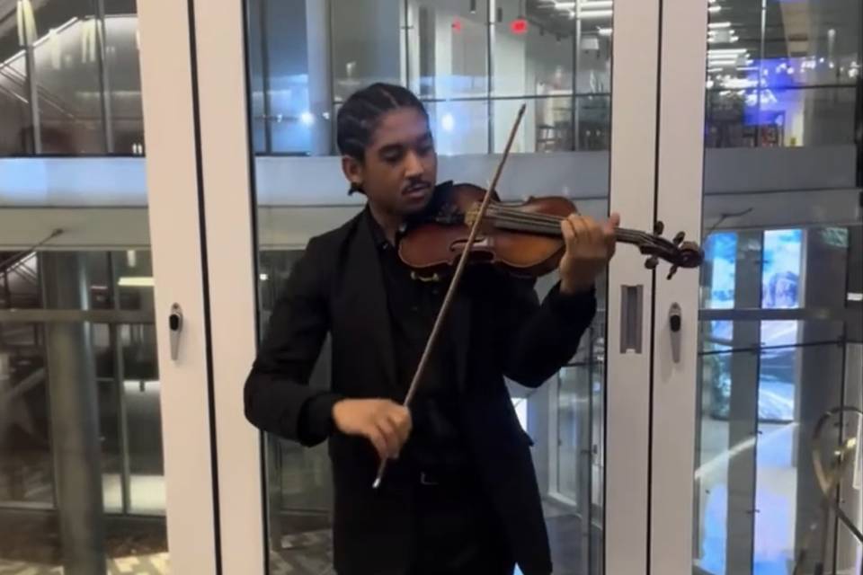 Violinist