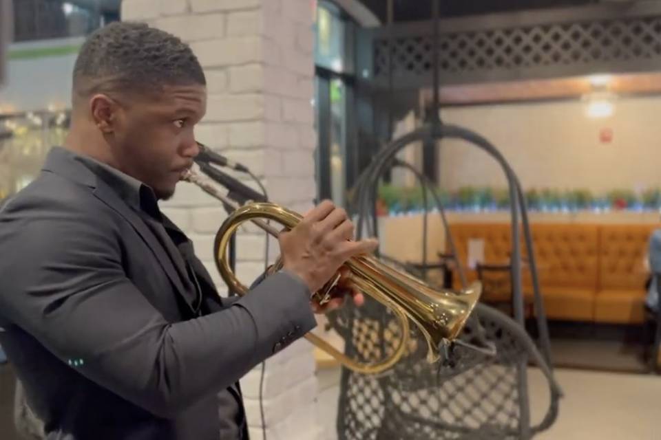 Live Music - Trumpet