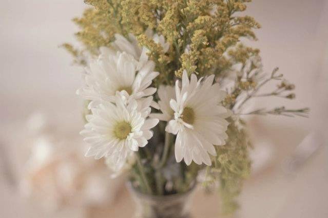 Chelish Moore Flowers