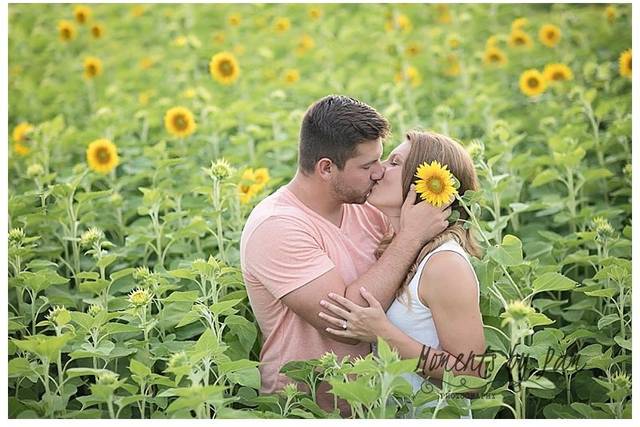 Moments...by Pam Photography, LLC