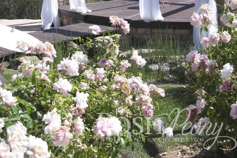 Posh Peony Floral and Event Design