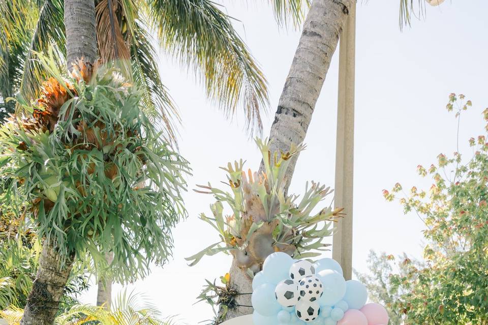 Sindy & Brett Gender Reveal
