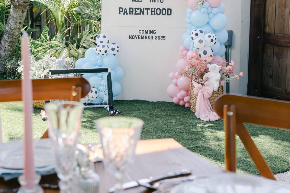 Sindy & Brett Gender Reveal