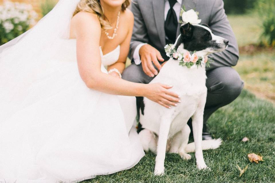 Couple with dog