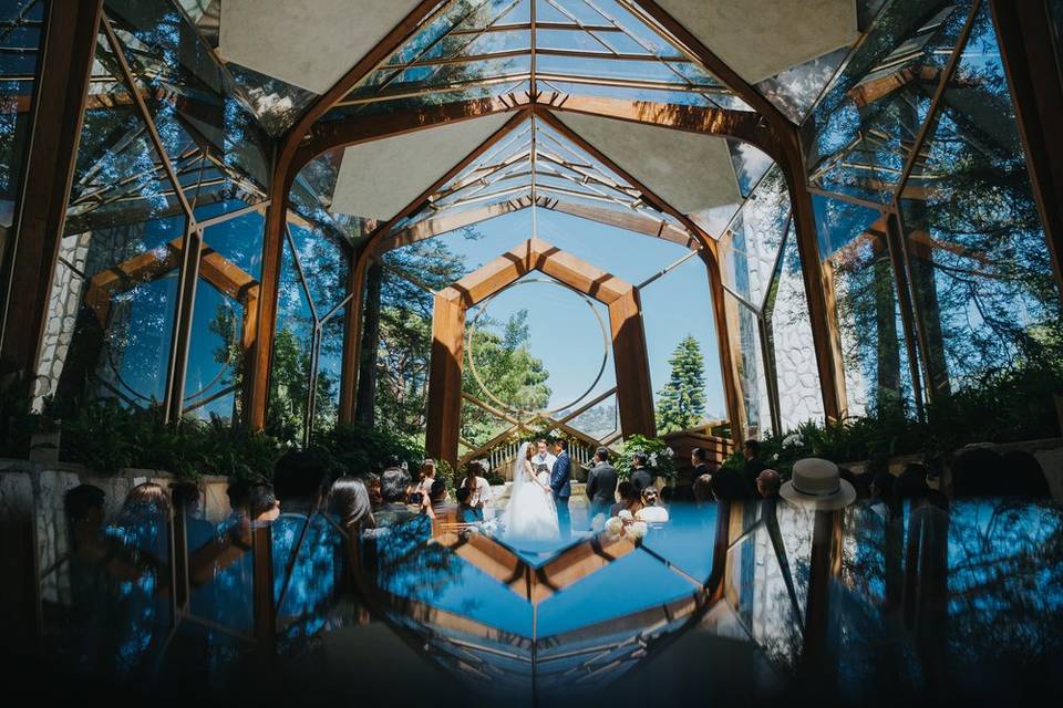 Dramatic wedding photo