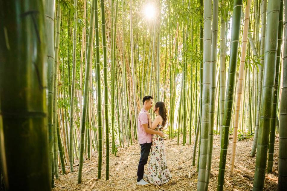 LA Arboretum Engagement