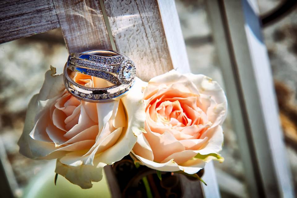 Silver Moon Custom Art & Photography