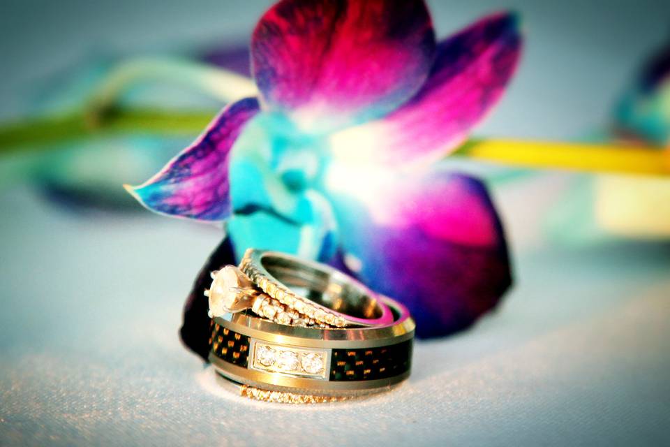 Silver Moon Custom Art & Photography