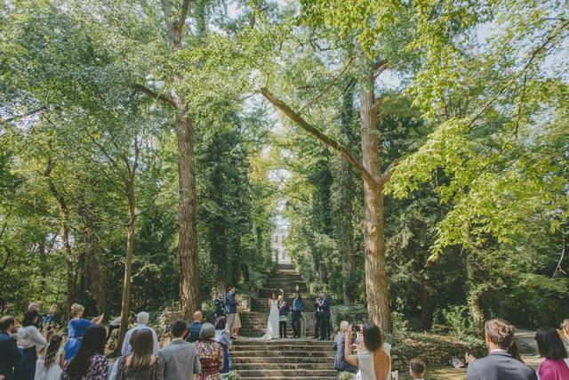 Staircase in the forest