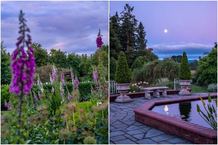 Moonrise in the garden