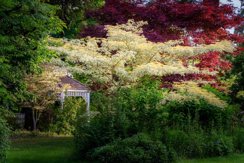 Autumn garden